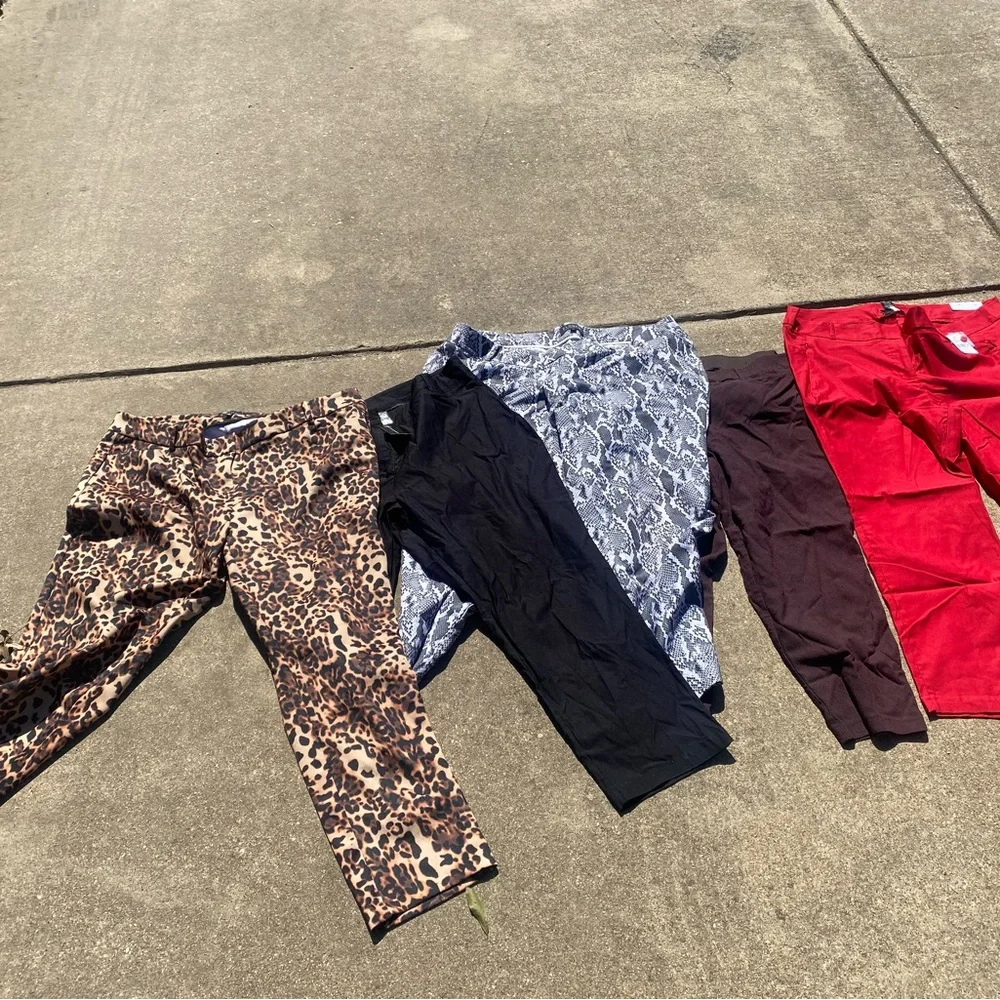 Lot of Plus Size Stylish Pants - Leopard, Black, Snake, Red, Burgundy - Picture 2 of 2